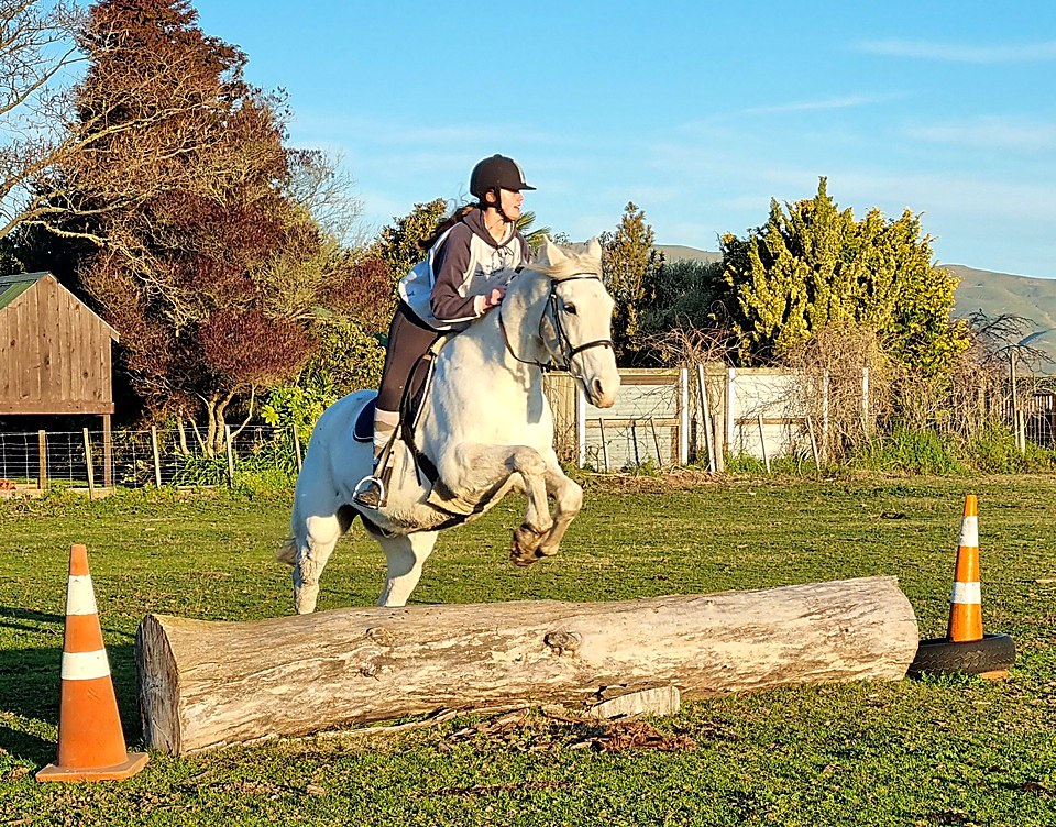A young rider learning to guide their pony over an obstacle