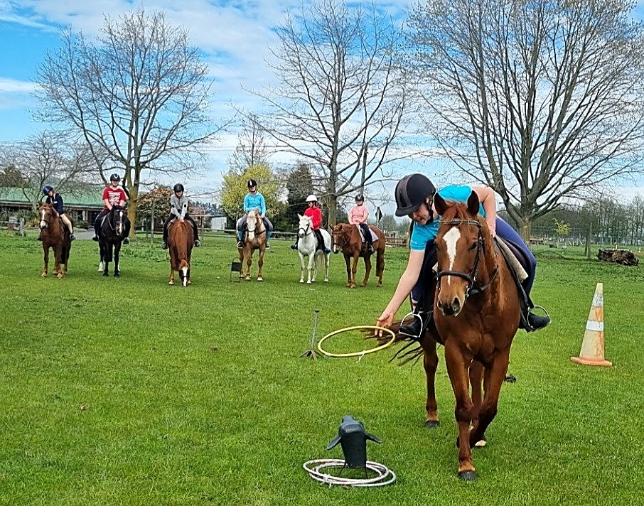 A rider clearing a jump in the orchard