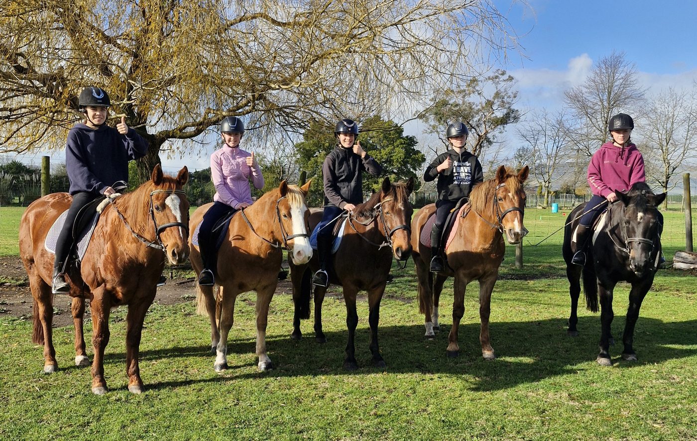 Young riders on chestnut ponies during a lesson